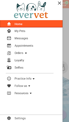EverVet Screen 2