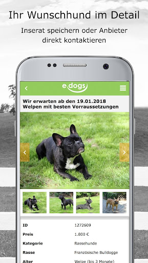 edogs - Dein Hundemarkt Screen 3