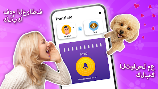 معاينة التطبيق