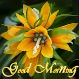 Good Morning Flower Images icon