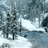 Winter Forest Livewallpaper icon
