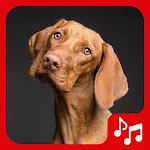 Cover Image of Tải xuống Barking Dog Sounds.  APK