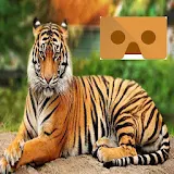 Tiger 360 VR for Cardboard icon