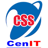 CSS Report icon