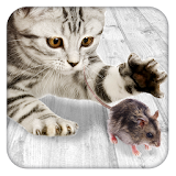 Games for cat Mouse icon