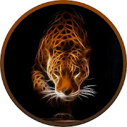 Ultra HD Tiger Wallpapers