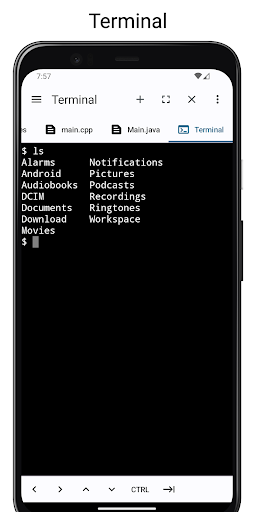 Screenshot of Code Editor