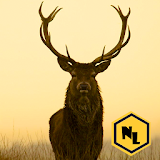 Real Stag Hunter 2015 icon