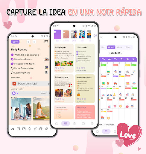 Vista previa de la aplicación