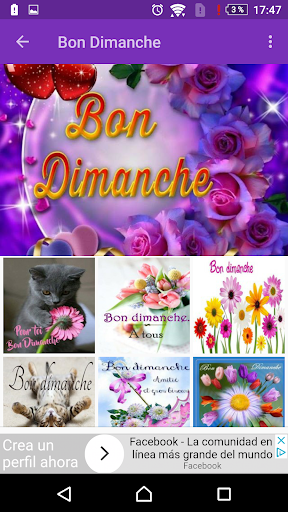 Android application Beau Dimanche screenshort