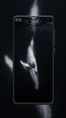 Whale Wallpaper HDのおすすめ画像4