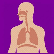 Respiratory System and Environmental Physiology