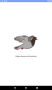 Pigeon disease and treatment Unknown