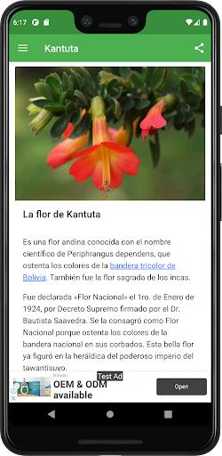 Símbolos Patrios de Bolivia