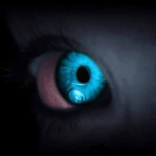 Real Paranormal Activity-The P logo