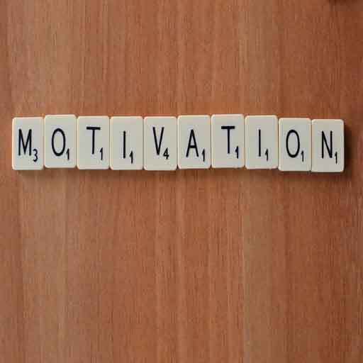 Motivation Quotes  Icon