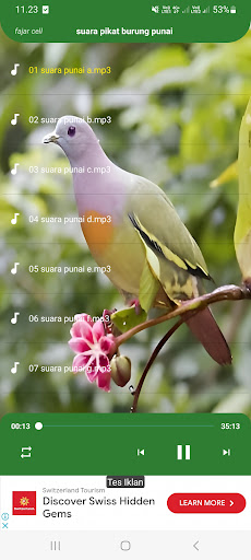Android application Suara pikat burung punai screenshort