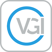 VGI  Icon