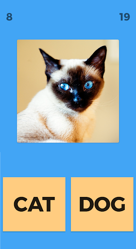 Cat Or Dog Screen 2