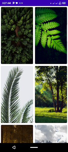 Android application Green Wallpapers screenshort