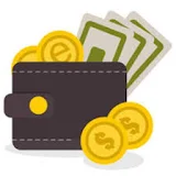 Paytm Wallet icon