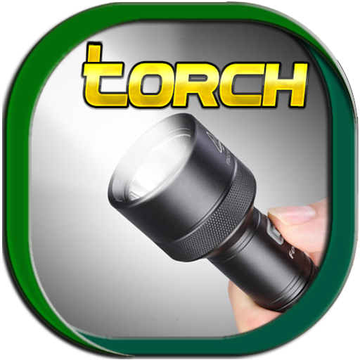 Xpert Torch Pro