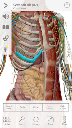 Human Anatomy Atlas 7-Springerのおすすめ画像1