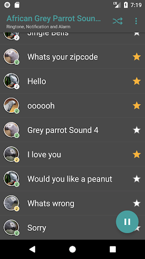 African Grey Parrot Sounds Screen 3