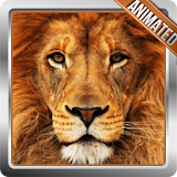 Lion Live Wallpaper icon
