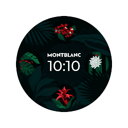 Icon image Tropical Nature Watch Face
