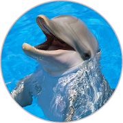 Top 30 Entertainment Apps Like Dolphin (Animal) Sounds - Best Alternatives