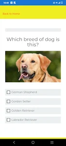 Dog quiz - identify the breeds