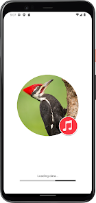 Screenshot 1 Sonidos de pájaros de pájaros android