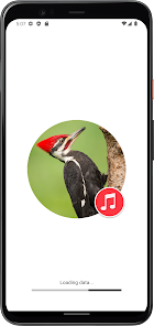 Imágen 1 Sonidos de pájaros de pájaros android