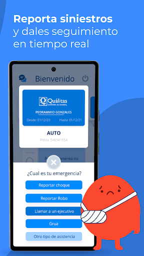 Ammia Screen 3