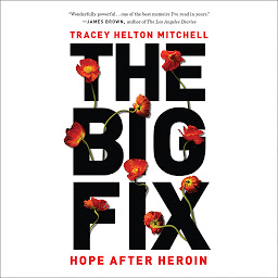 Icon image The Big Fix: Hope After Heroin