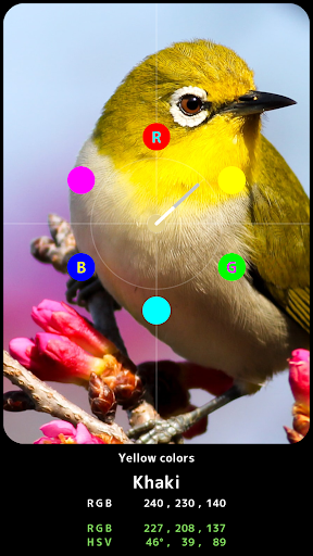 What Color RGB Screen 2