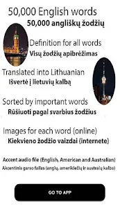 English lithuanian dictionary