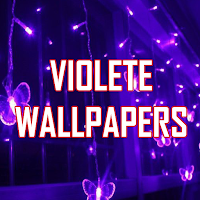 Violete Wallpapers HD