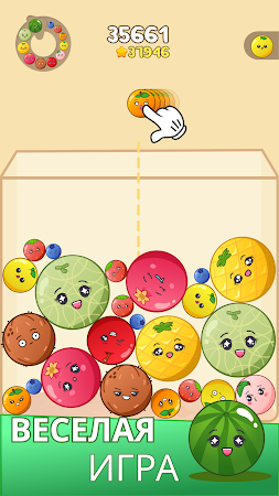 Game screenshot Fruit Merge Blast Puzzle mod apk