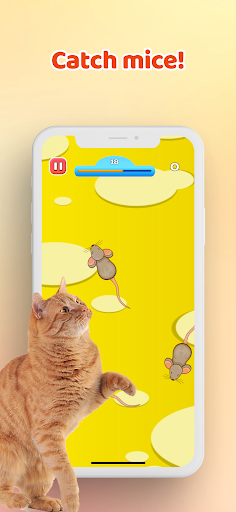 Android application Games for Cat－Toy Mouse & Fish screenshort