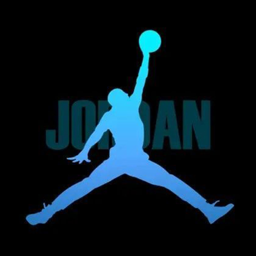 Air Jordans Nice logo