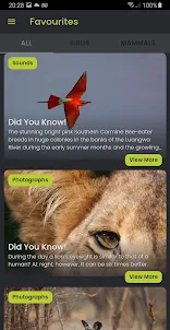Did you know: African Wildlife