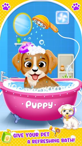 Labrador Puppy Daycare Salon 3