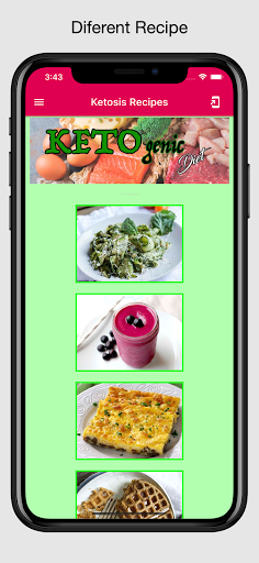 Ketosis Recipes Screen 3