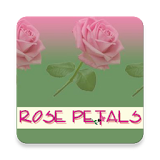 Rose Petals icon