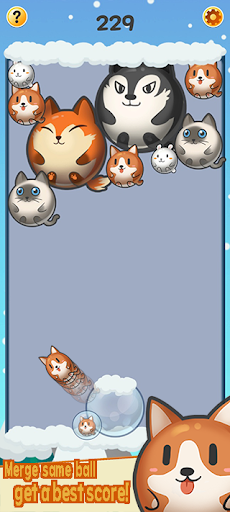Any Balloon Screen 2