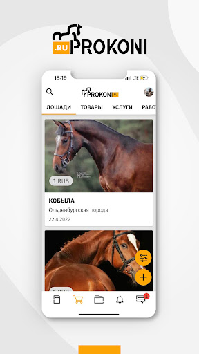 Prokoni.ru Screenshot 1 - AppWisp.com