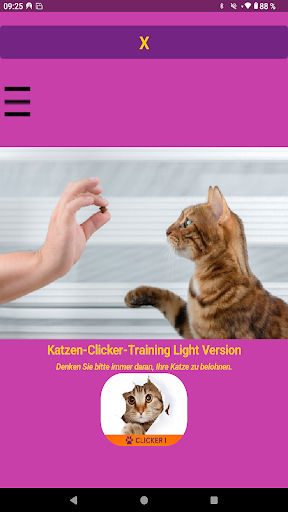 Katzen Clicker Training Light1