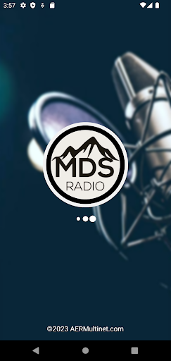 MDS Radio Screen 2